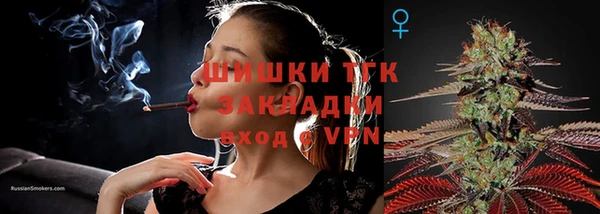 эйфоретик Белокуриха