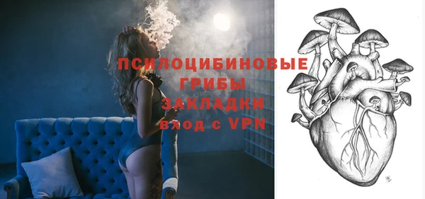 ГАЛЛЮЦИНОГЕННЫЕ ГРИБЫ Белоозёрский