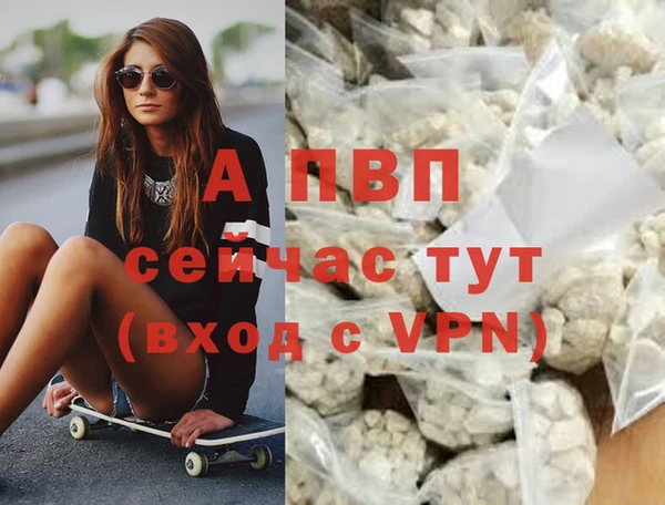 эйфоретик Белокуриха