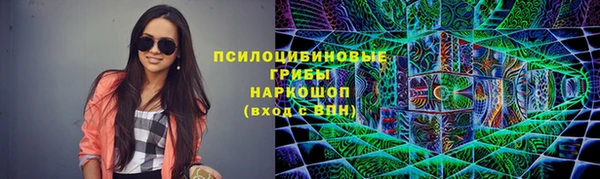 spice Беломорск