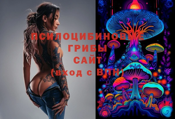 ГАЛЛЮЦИНОГЕННЫЕ ГРИБЫ Белоозёрский